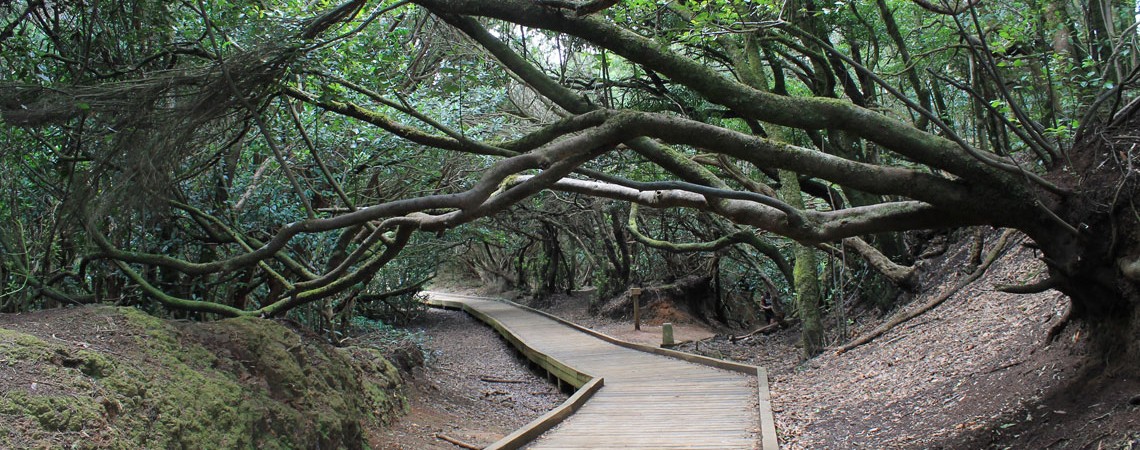 Sendero de los Sentidos